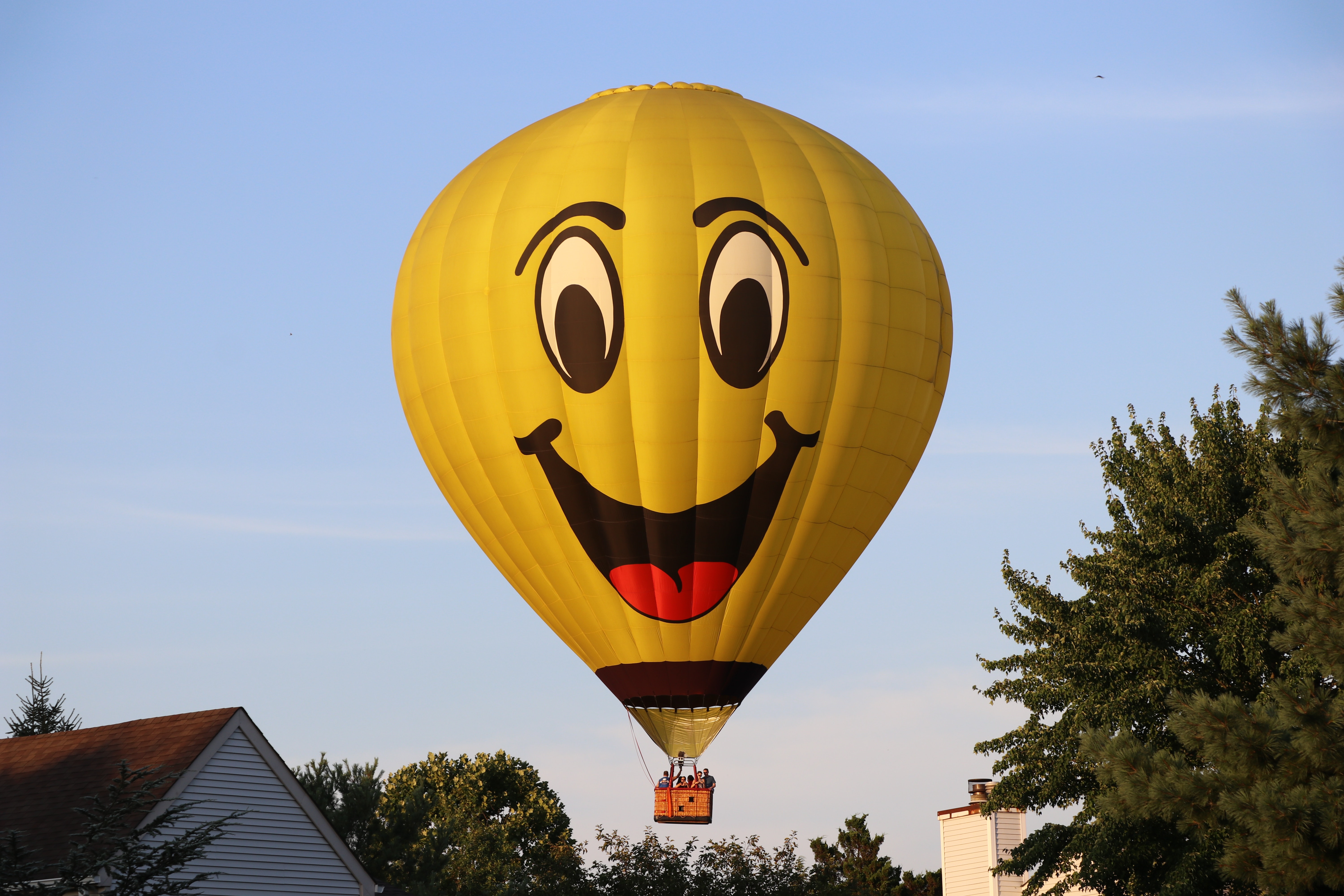 hot air balloon
